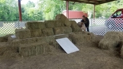 2-Barn-Hunt-2