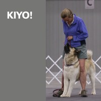 AKC Ambassadors