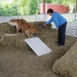 1_5-Barn-Hunt
