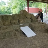 2-Barn-Hunt-2