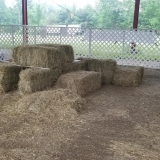 3-Barn-Hunt-3