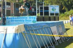 RDOD-Dock-Diving1
