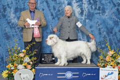 Big-CSCA-Veteran-Dog-3-19