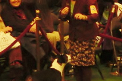 DSC00110