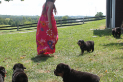 Jade-Contin-and-Puppies_08.16.2015