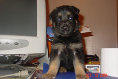 baby-Kyra4
